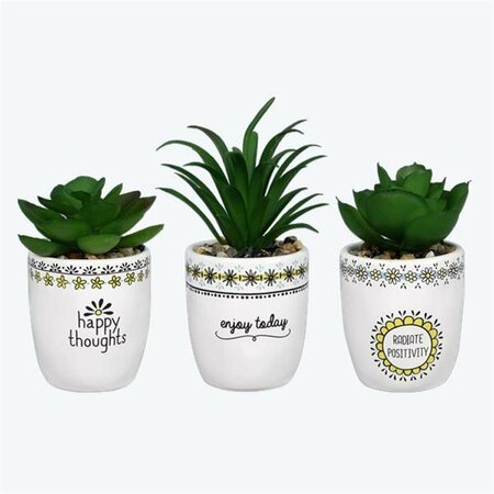 YOUNGS Ceramic Handmade Pots with Succulent Set - Small - 3 Piece 72477